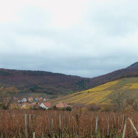 Apartment Route Du Vin Centre Alsace Orschwiller Δωμάτιο φωτογραφία
